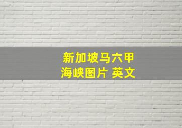 新加坡马六甲海峡图片 英文